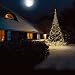 Produktbild Fairybell LED-Weihnachtsbaum 600 cm mit 720 LED warmweiss