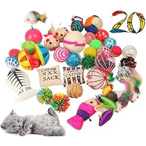 [Gesponsert]Black Lion Katzenspi