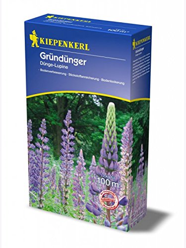 Düngelupinen Gründünger 2kg