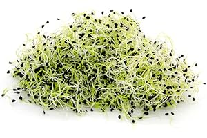 Italian Sprout - Semi per germogli - Porro cinese Pucca - 200 gr.