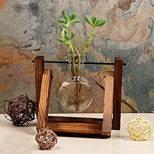 The Artment Your Artistic Apartment Flask Planter - Single (16X14X12 cm, Clear)