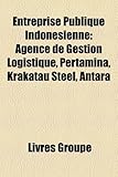 Image de Entreprise Publique Indonsienne: Agence de Gestion Logistique, Pertamina, Krakatau Steel, Antara