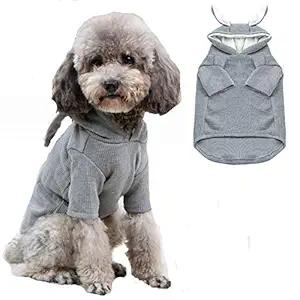 ANIAC Pet Hoodie Cat Rabbit Outfit with Bunny Ears Cute Sweatshirt Spring and Autumn Puppy Knitted Sweater Kitty Soft Knitwear (Large, Grey)