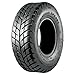 Produktbild 195/50–10 35Q TL M991 MAXXIS SPEARZ Quad Reifen