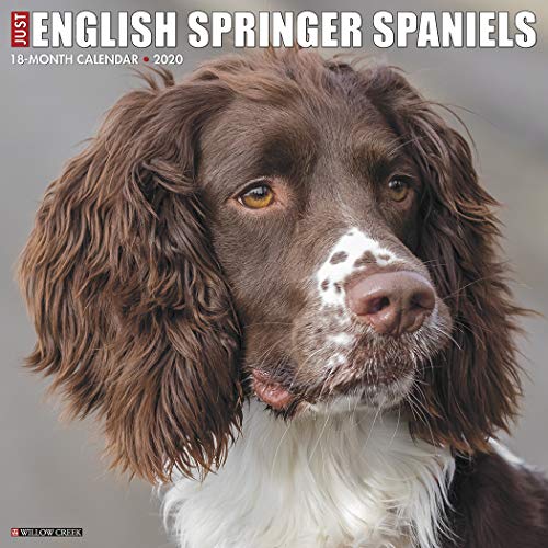 Télécharger Just English Springer Spaniels 2020 Calendar Livre PDF Gratuit