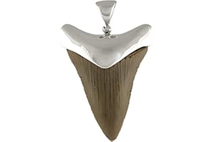 Starborn grand pendentif dent de requin fossile en argent sterling 925
