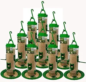 Amijivdaya Large Bird Feeder (Green, Transparent) - Pack of 10