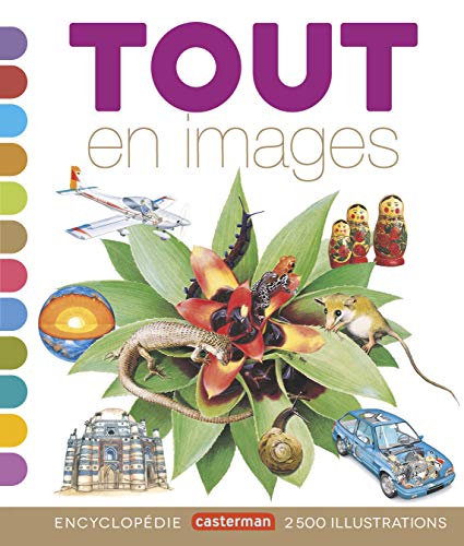 Tout en images Tout en images