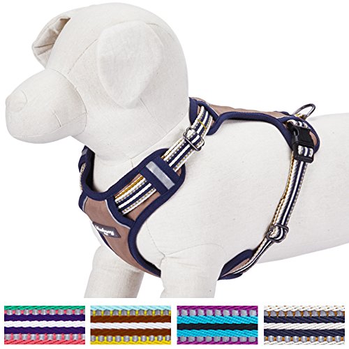Blueberry-Pet-Soft-Comfortable-3M-Reflective-Multi-colored-Stripe-No-pull-Mesh-Padded-Dog-Harness-Vest-4-Colors-Matching-Collar-Lead-Available-Separately