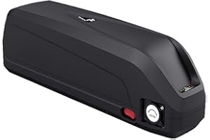 SDTYYP Batería de Bicicleta eléctrica de 48V 20,4Ah/36V 21Ah Adecuada para Motor de 250W 500W 750W 1000W con Cargador/BMS