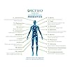 Live Bacteria, 20 Billion Max Potency Organisms, Patented Stomach Acid Resistant & Heat Resistant Strains, Best Proven Probiotic for Women, Men, Children to Improve Digestion, Immunity, Energy, Focus - Image 9
