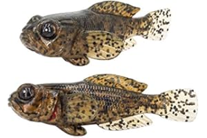 FISHN Lot de 5 leurres Gobyone - 7,6 cm - 9 g - Ultra réalistes - en Caoutchouc - pour la pêche à la Perche