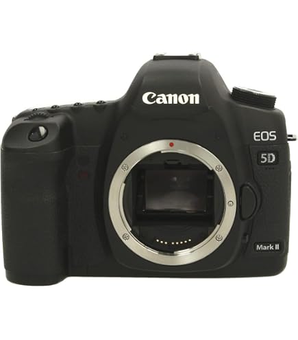 Canon EOS 5D Mark IV SLR-Digitalkamera (30,4 MP, 8,1cm Touchscreen