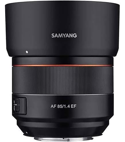 Canon EF 400 mm F5.6L USM Lens : Amazon.com.tr: Elektronik