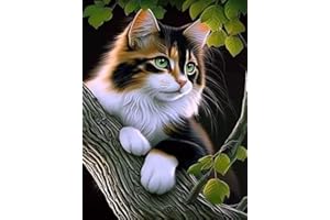 VAIIEYO 5D Diamond Painting Chat, Broderie Diamant Animaux, Canevas Diamant kit Complet Point De Croix Broderie Salon Chambre Autocollant Mural Décoration 30x40cm