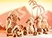 Rudolph Schaffer Abdul Camel Soft Toy (22 cm)