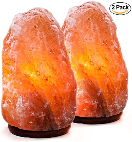 Set of 2 Natural Himalayan Salt Lamp Hand Carved, by Amethya (Set of 2)