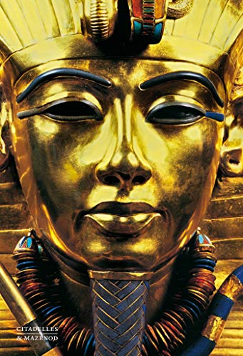 Télécharger Le trésor de Toutankhamon Livre PDF Gratuit