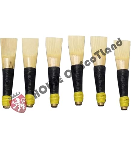 Practice Chanter In Palissandro Nero - Con 2 Ance Per Esercitazione - Foto 8