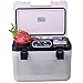 Produktbild RUIRUI Portable 12V Auto Kühlschrank Portable Cooler Minikühlschrank (19L)