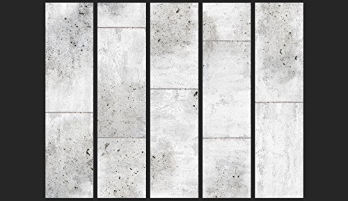 PURO TAPETE | Realistische Tapete ohne Rapport und Versatz | Kein sich wiederholendes Muster | 10m VLIES Tapetenrolle | Textur Beton grau f-C-0011-j-a - 2