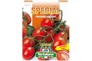 L'ORTOLANO Sementi Di Ortaggi Ibride E Selezioni Speciali Ad Uso Amatoriale In Buste Termosaldate (80 Varietà) (Pomodoro Ramino F1)