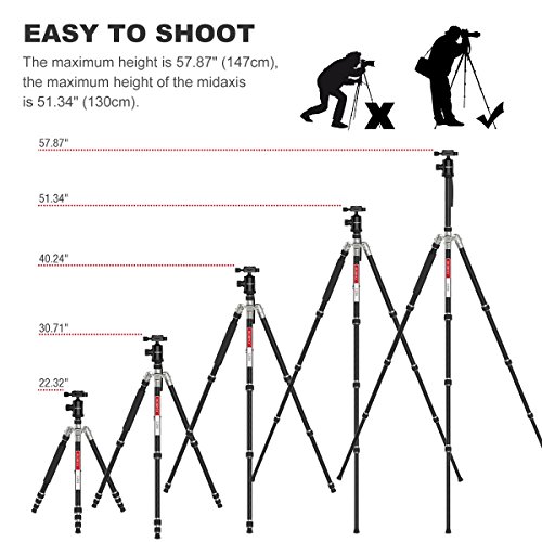 Trípode Completo - Beschoi Trípode Cámara Reflex Trípode de Viaje de Fibra de Carbono con Rótula de Bola y Zapatas Rápidas (Altura de 49cm a 165.5cm, Capacidad de 10 kg, Bolsa Incluida), Negro