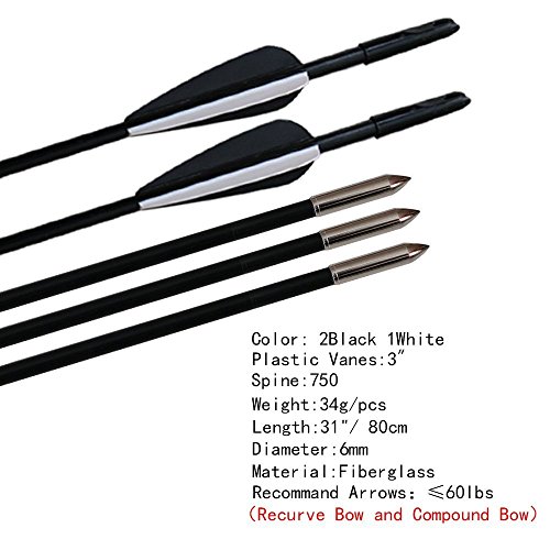 Huntingdoor Practice Arrows 31inch Kids Archery Arrows 6mm Fiberglass Shooting Targeting Arrows for Youth Recurve Bow Target Outdoor (12Pcs)