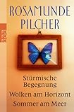 Cover zum Buch Stürmische Begegnung / Wolken am Hori...