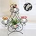 Produktbild LILSN- European Style Flower Frame Eisen Multi - Storey Floor - Style Indoor Wohnzimmer Blumen Racks Green Radieschen Lily Balkon Blumen Racks ( Farbe : Schwarz )