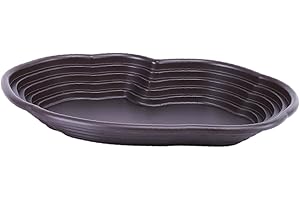 Colcolo Wassernapf für Schildkröten, Futternapf für Reptilien, Wassernapf für Reptilien, Badebecken für Schildkröten, Geckos, Frösche, Ruheplatz, Keine Entwässerung