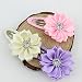 Baby Beauty Hair Bows Clips Pins Toddler Infants Kids Girls Boutique Accessories Grosgrain Ribbon headdress (single flowers 4cm-12pcs)