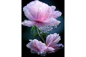 HXSYKJDM Diamond Painting, DIY Diamant Malerei Crystal Strass Stickerei, 5D Diamant Painting Bilder für Erwachsene Geschenk Wall Decoration