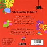 Image de PETIT CAMELEON SE CACHE