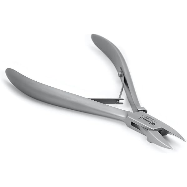 Sgorbia Fissa In Acciaio Inox - Misura Fig. 1 - Blue Farm - Foto 9