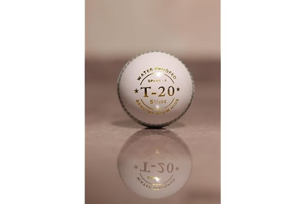 QODEL White Leather Cricket Ball, Regulation Size