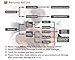 Hann® Hair Curler,LCD Pro Salon Automatic Hair Curling Curler Ceramic Roller Wave Machine Styler (UK Plug) (LED Pro Automatic-curler, Pink)