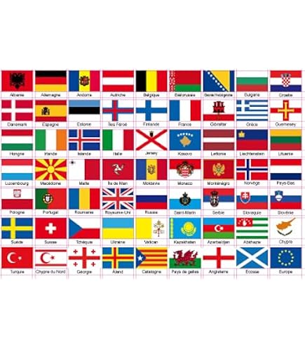 242 Autocollants Drapeaux Des Pays Du Monde - Vinyle, 10x15mm, Pour Décoration, Collection