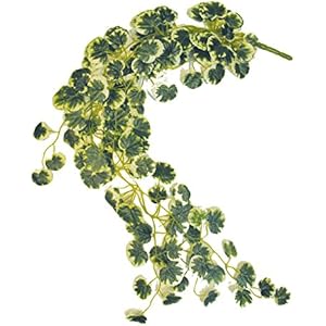 Namiba Terra 5924 Hängepflanze, Großblättrige Begonia, Seide, circa 85-90 cm, weiß/gelb/grün