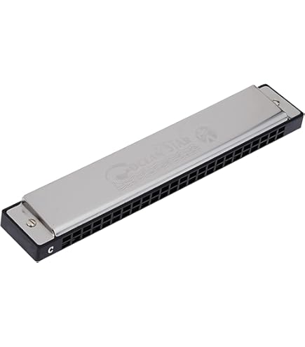 管楽器・吹奏楽器 Hohner Double Puck Harmonica Hohner CG M55333 Double Puck Harmonica : Amazon.in: Musical