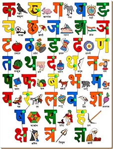 Little Genius Hindi Alphabet with Picture Match