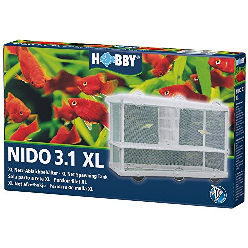 Hobby3.1 XL Ablaichbehälter - 25 x 15 x 14.5 cm Fish Breeding Tank