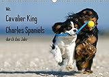 Mit Cavalier King Charles Spaniels durch das Jahr (Wandkalender 2019 DIN A3 quer): Cavalier King Charles Spaniel in allen Farbschlägen begleiten Sie ... (Monatskalender, 14 Seiten ) (CALVENDO Tiere) by 