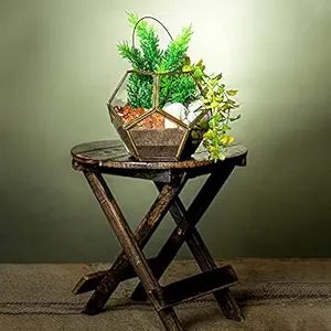 Urban Plant Elegant Geometric Glass Terrarium