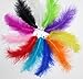 Produktbild Huihuger Straußenfedern, bunt, chromatisch, für Dekoration, gemischte Farben, ca. 100 Stück