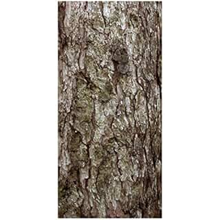 Suchergebnis auf Amazon.de für: BIRKE - Raumteiler / Wohnzimmer: Küche