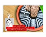 reer 8303.3 – Blumentopfgitter, braun - 3