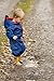 Hippychick Waterproof All-in-One - 2-3 Years, Blue
