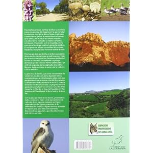 Las 25 mejores rutas por los espacios naturales protegidos de la provincia de Sevilla