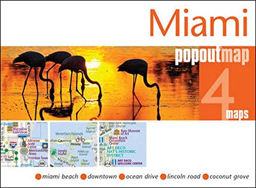 Télécharger Miami Popout Map livre En ligne